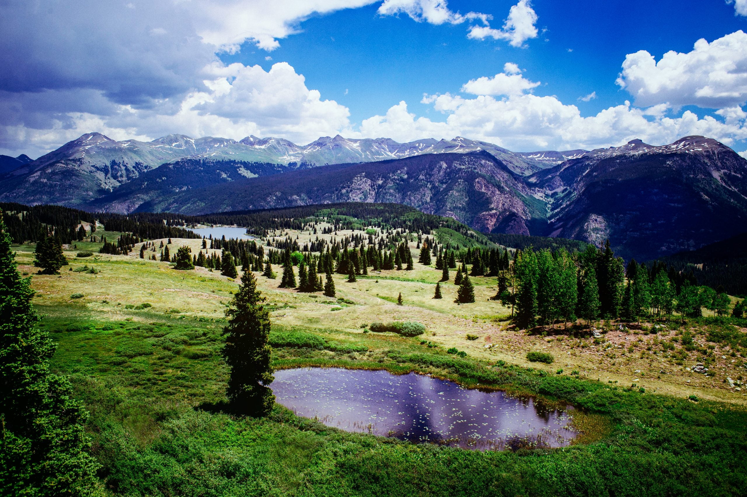 Photo by Donald Giannatti trees on field with mountain in the background