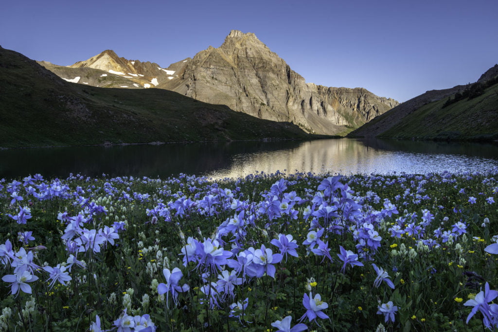 2022 Axis Health System Annual Report Axis Health System