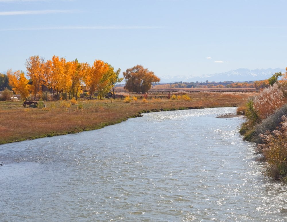 Riparian wildlife refuge near Delta, Colorado Depositphotos 8434339 m 2015