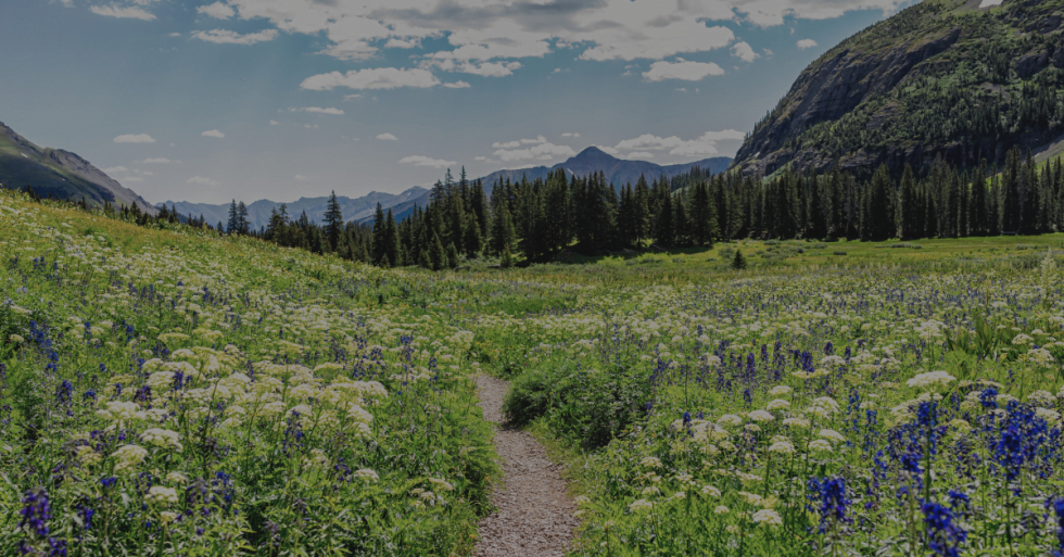 Axis Health System provides behavioral healthcare at a new Crested