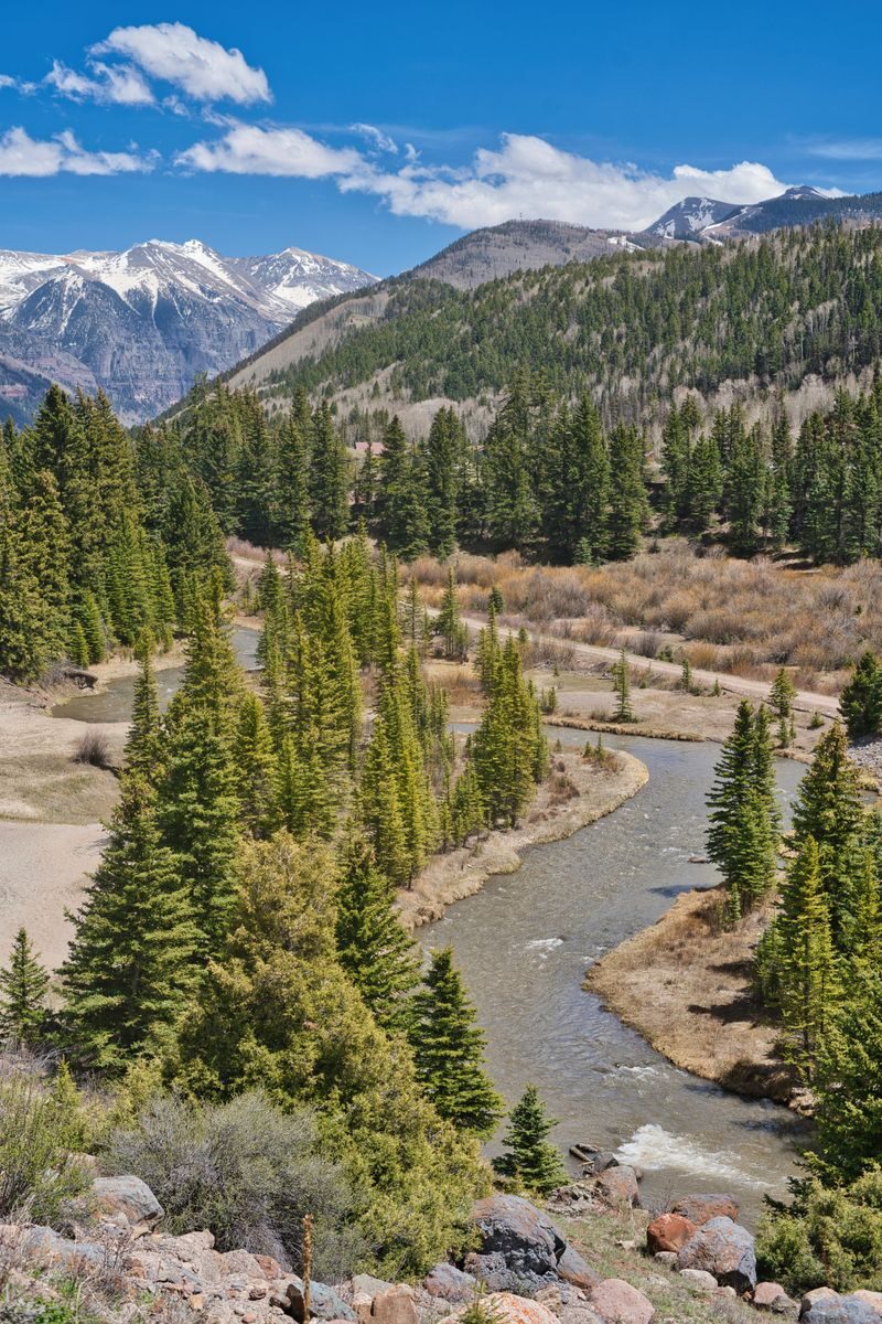 rapid access mental health in durango